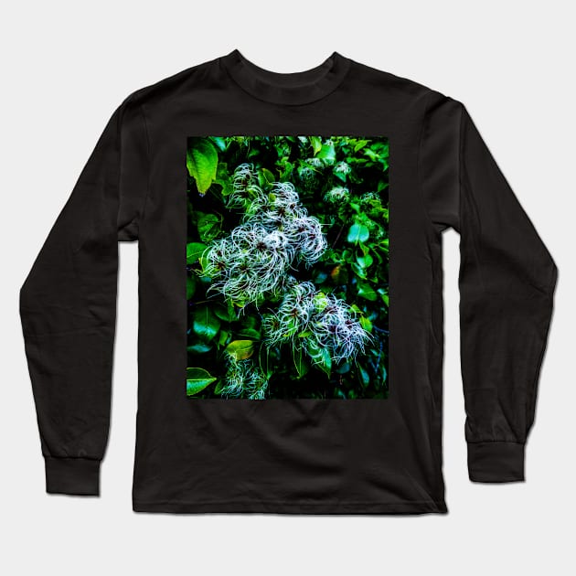 The Entwined Clematis Long Sleeve T-Shirt by PictureNZ